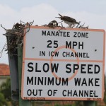 Manatee Zone
